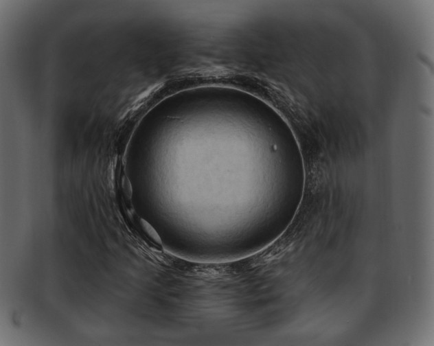 X0000093251205200709261713