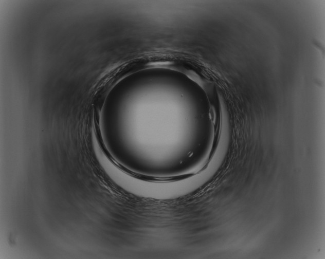 X0000093251206200709261713
