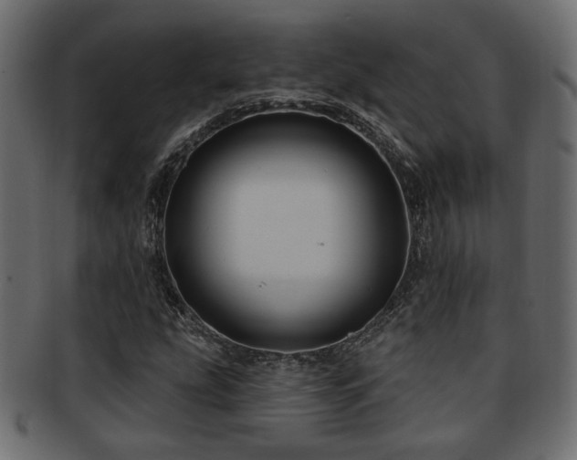 X0000093251207200709261713