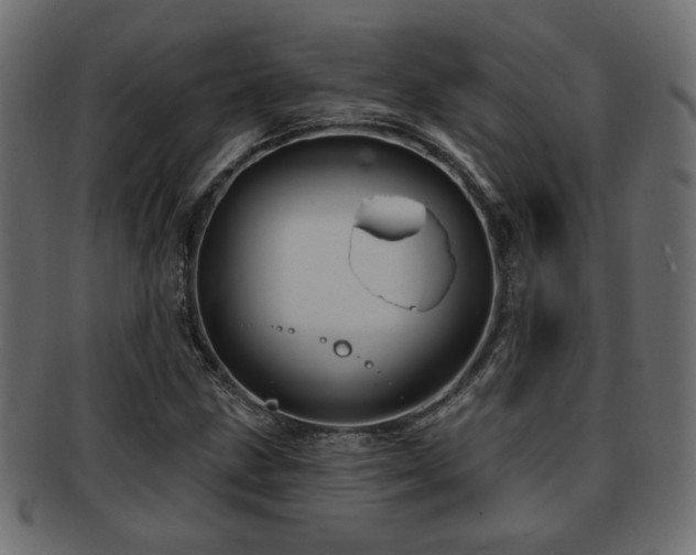 X0000093251211200709261713