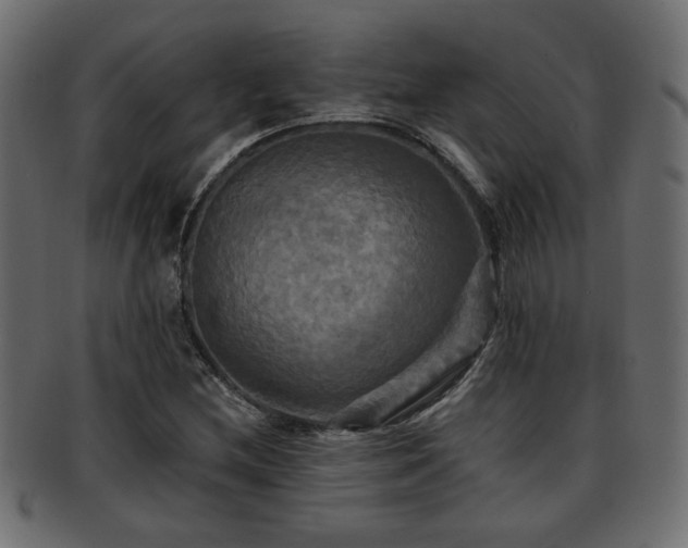 X0000093251212200709261713