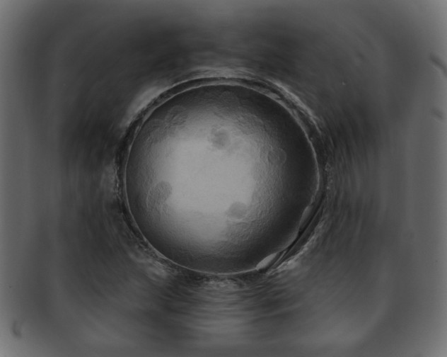 X0000093251215200709261713