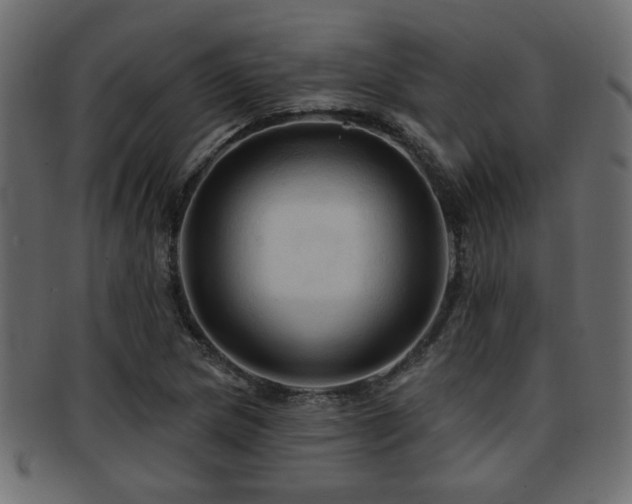 X0000093251217200709261713