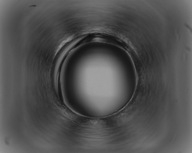 X0000093251218200709261713