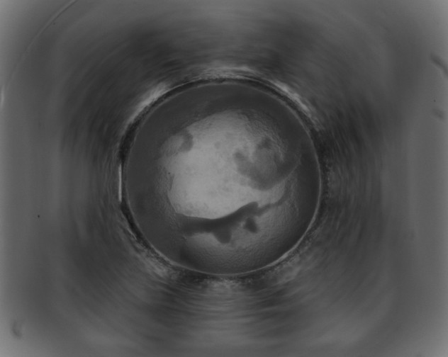 X0000093251219200709261713