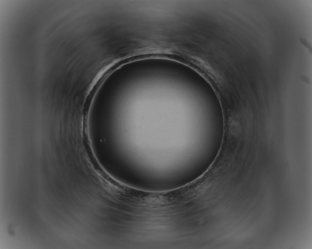 X0000093251220200709261713