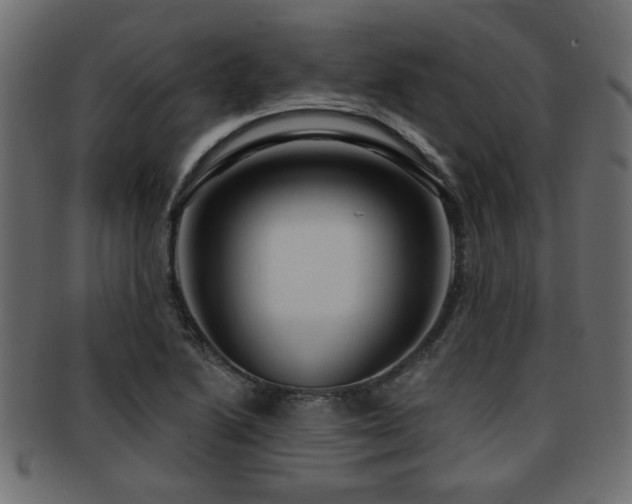 X0000093251222200709261713