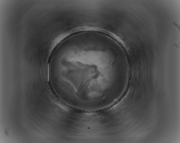 X0000093251223200709261713