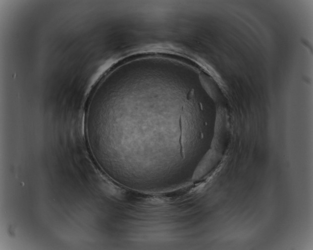 X0000093251224200709261713