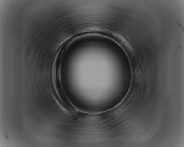 X0000093251225200709261713