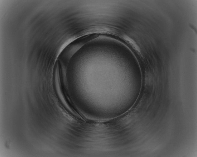 X0000093251226200709261713