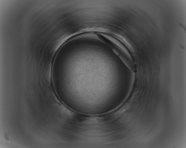 X0000093251228200709261713