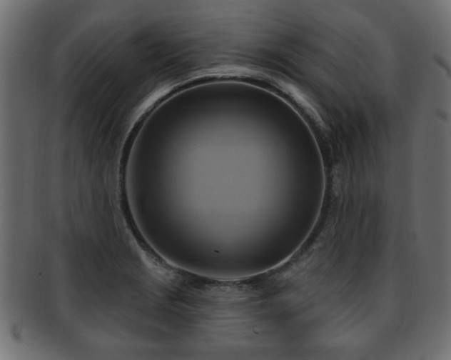 X0000093251229200709261713