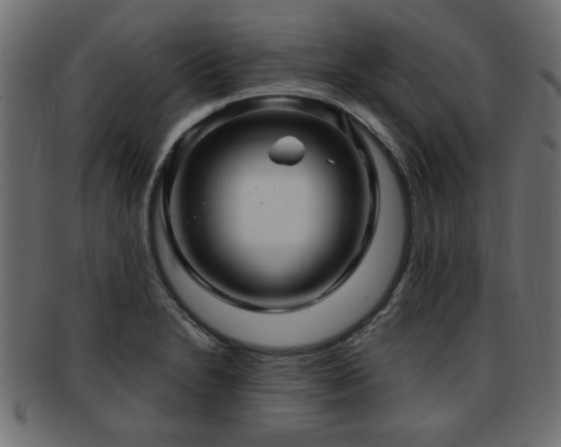 X0000093251230200709261713