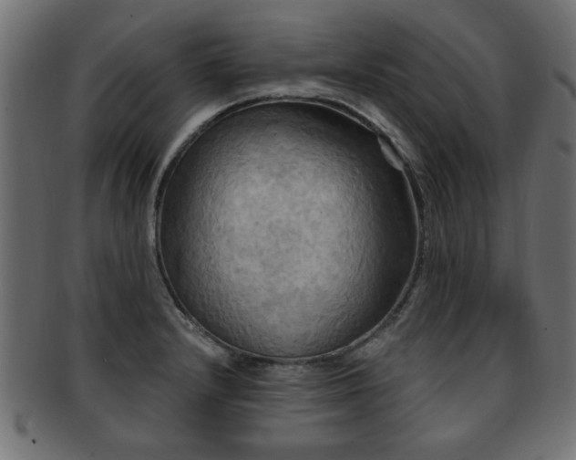 X0000093251232200709261713