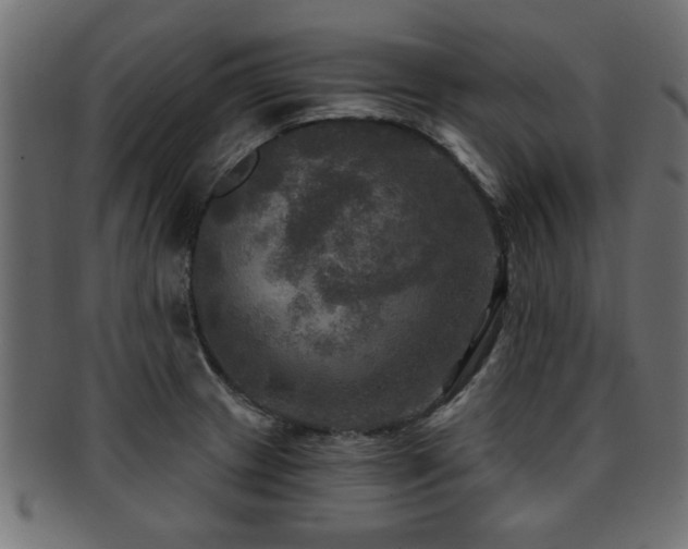X0000093251233200709261713