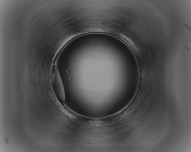 X0000093251236200709261713