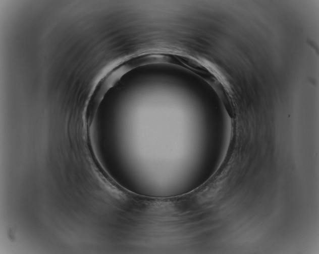 X0000093251238200709261713
