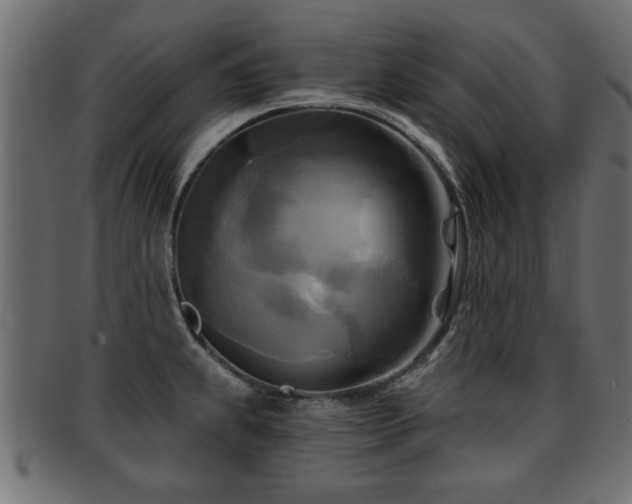 X0000093251239200709261713