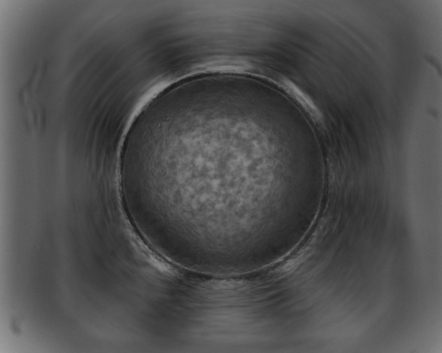X0000093251240200709261713