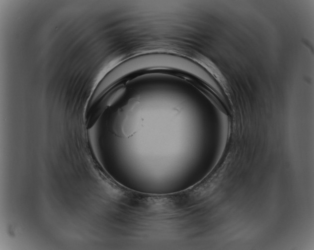 X0000093251242200709261713