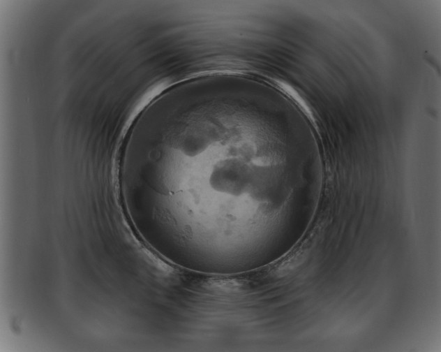 X0000093251243200709261713