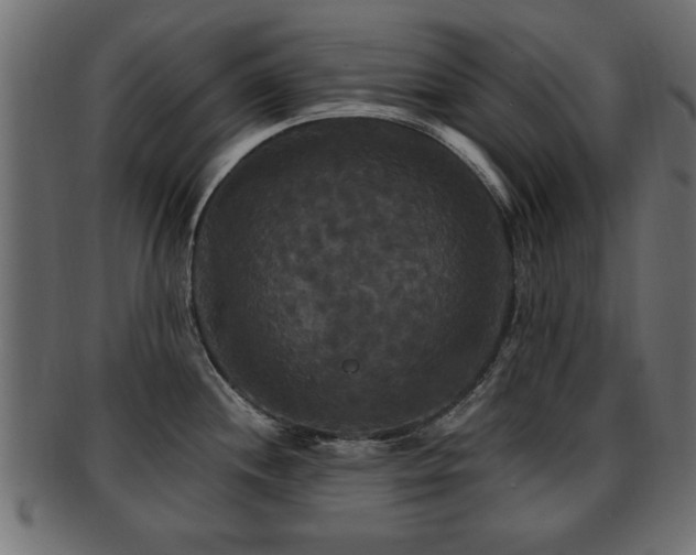 X0000093251244200709261713