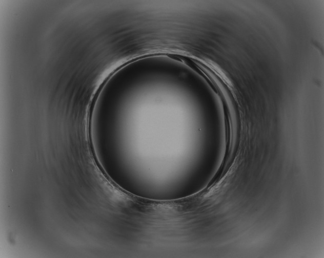 X0000093251246200709261713