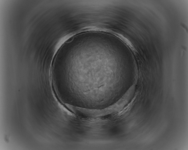 X0000093251247200709261713