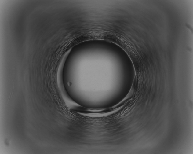 X0000093251249200709261712