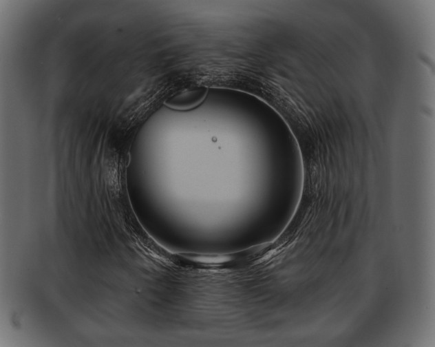 X0000093251250200709261712