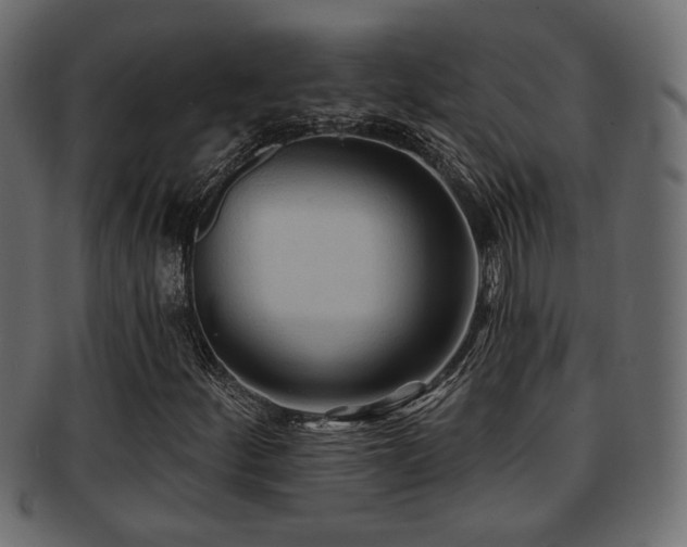 X0000093251252200709261712