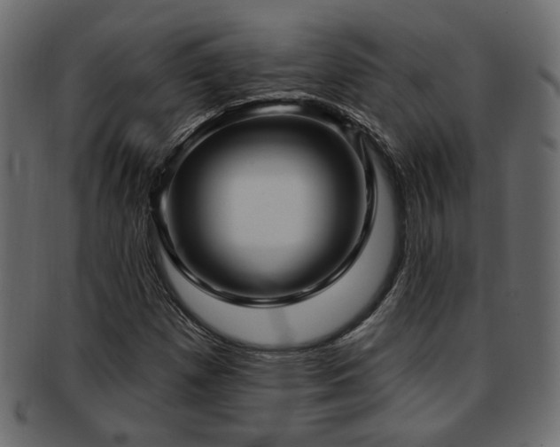 X0000093251257200709261712