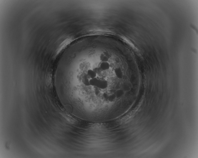 X0000093251259200709261712