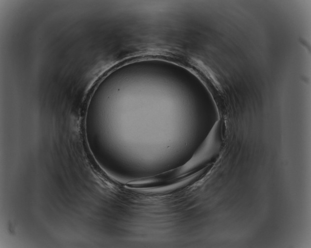 X0000093251260200709261712