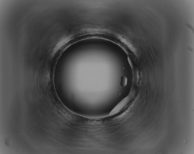 X0000093251261200709261712