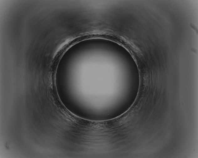X0000093251262200709261712