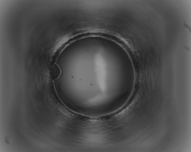 X0000093251263200709261712