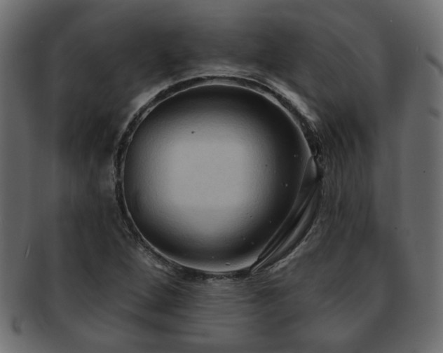 X0000093251264200709261712