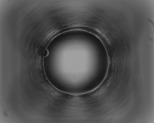 X0000093251265200709261712