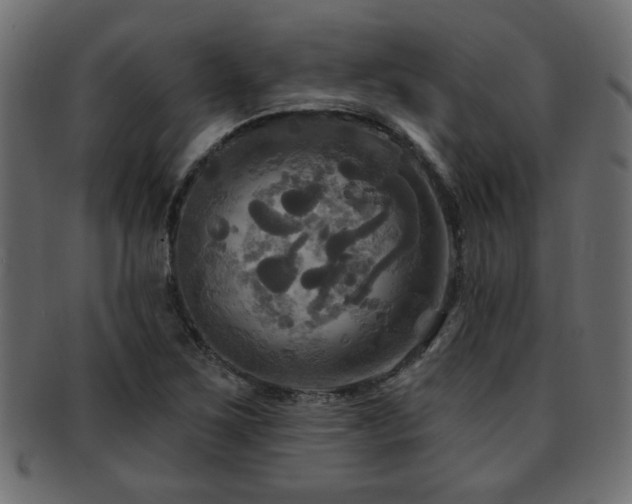 X0000093251267200709261712