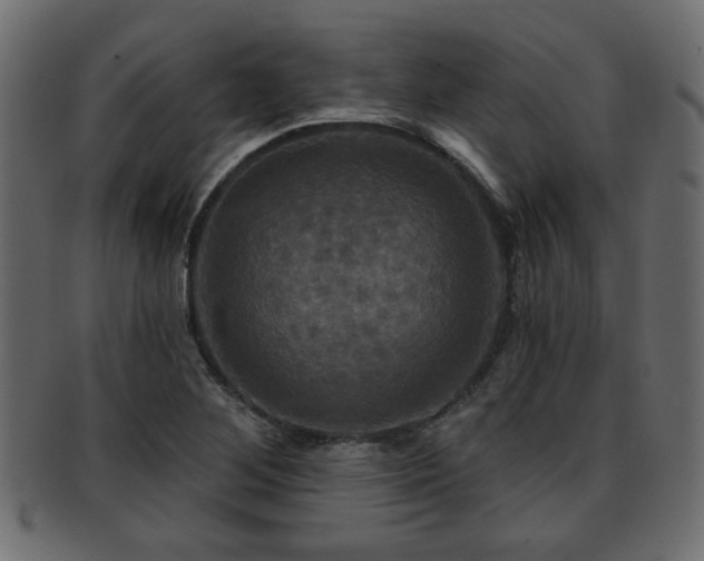 X0000093251268200709261712