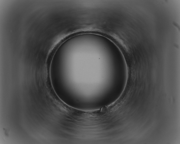 X0000093251270200709261712