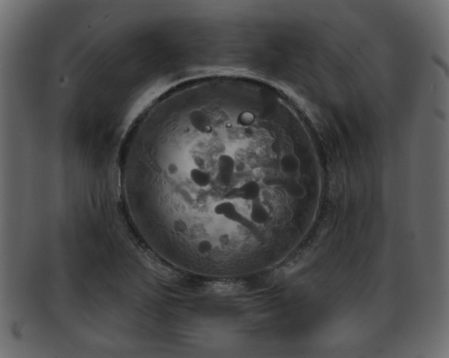 X0000093251271200709261712