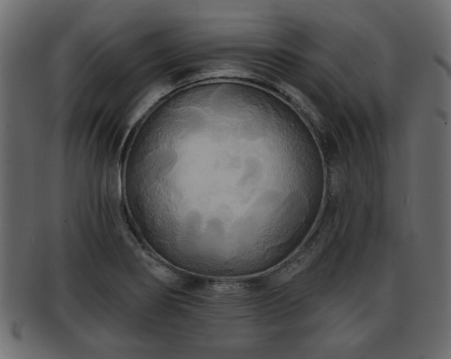 X0000093251274200709261712