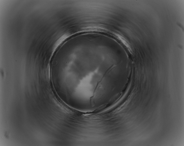 X0000093251275200709261712