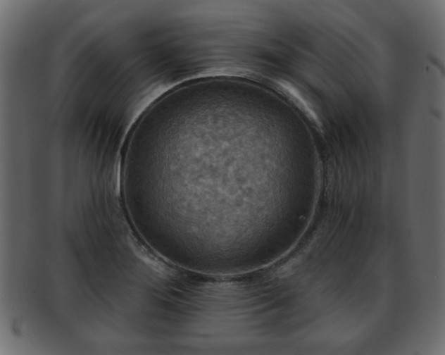 X0000093251276200709261712