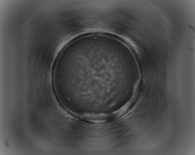 X0000093251279200709261712