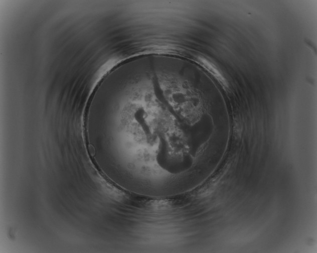 X0000093251283200709261712
