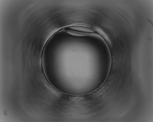 X0000093251284200709261712